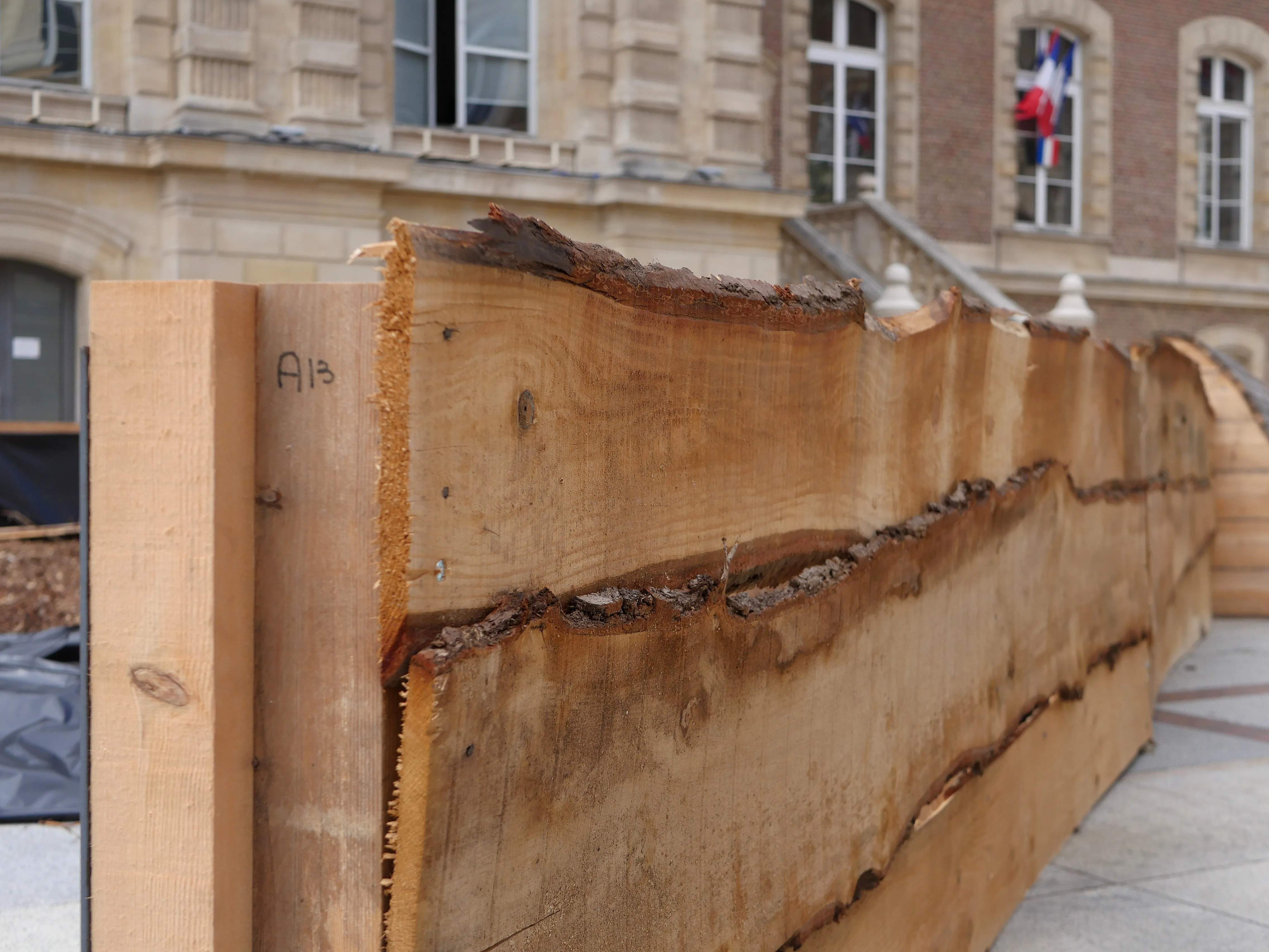 SILENCE, ÇA POUSSE... EN VILLE