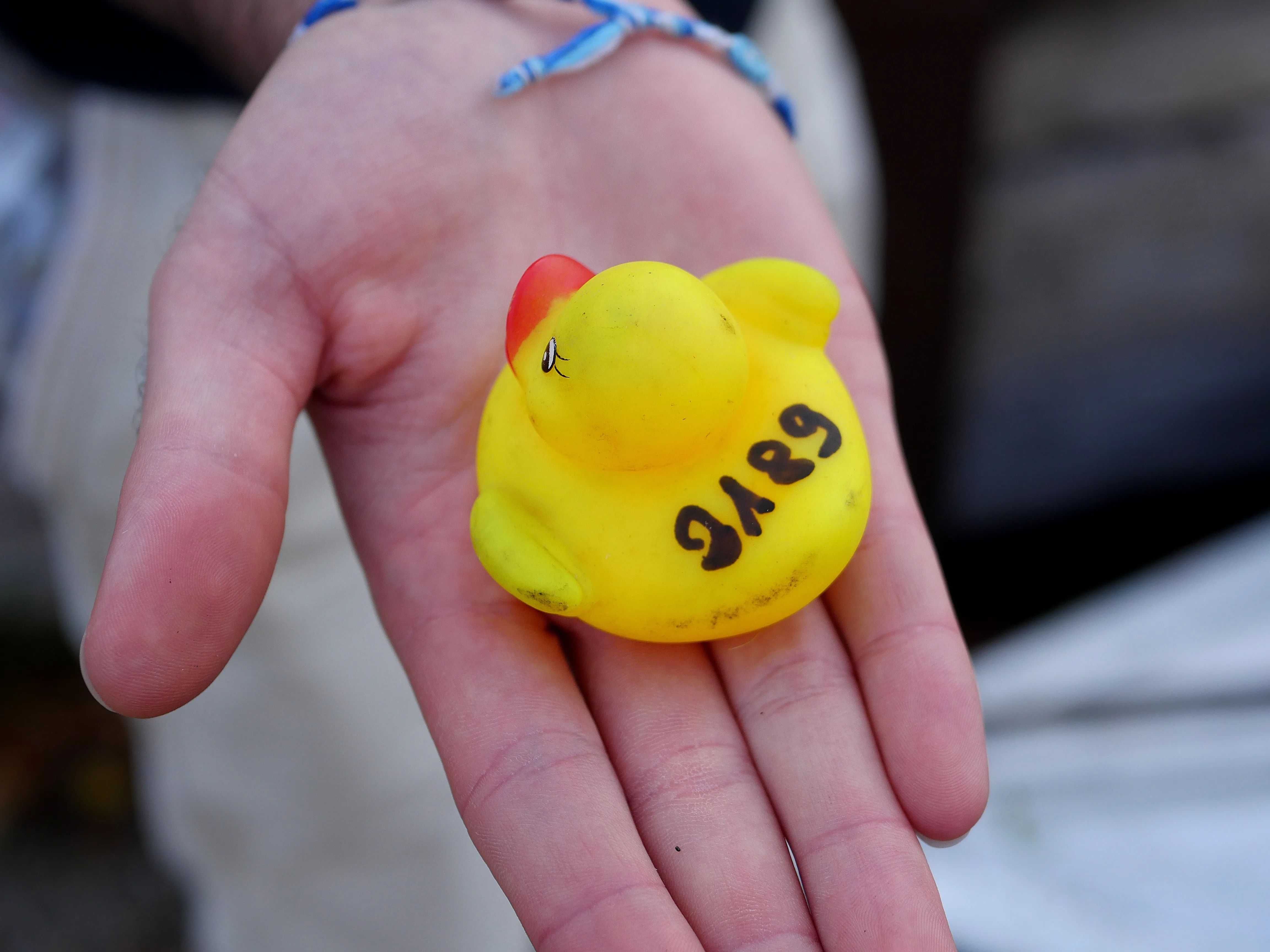DES CANARDS POUR LA BONNE CAUSE