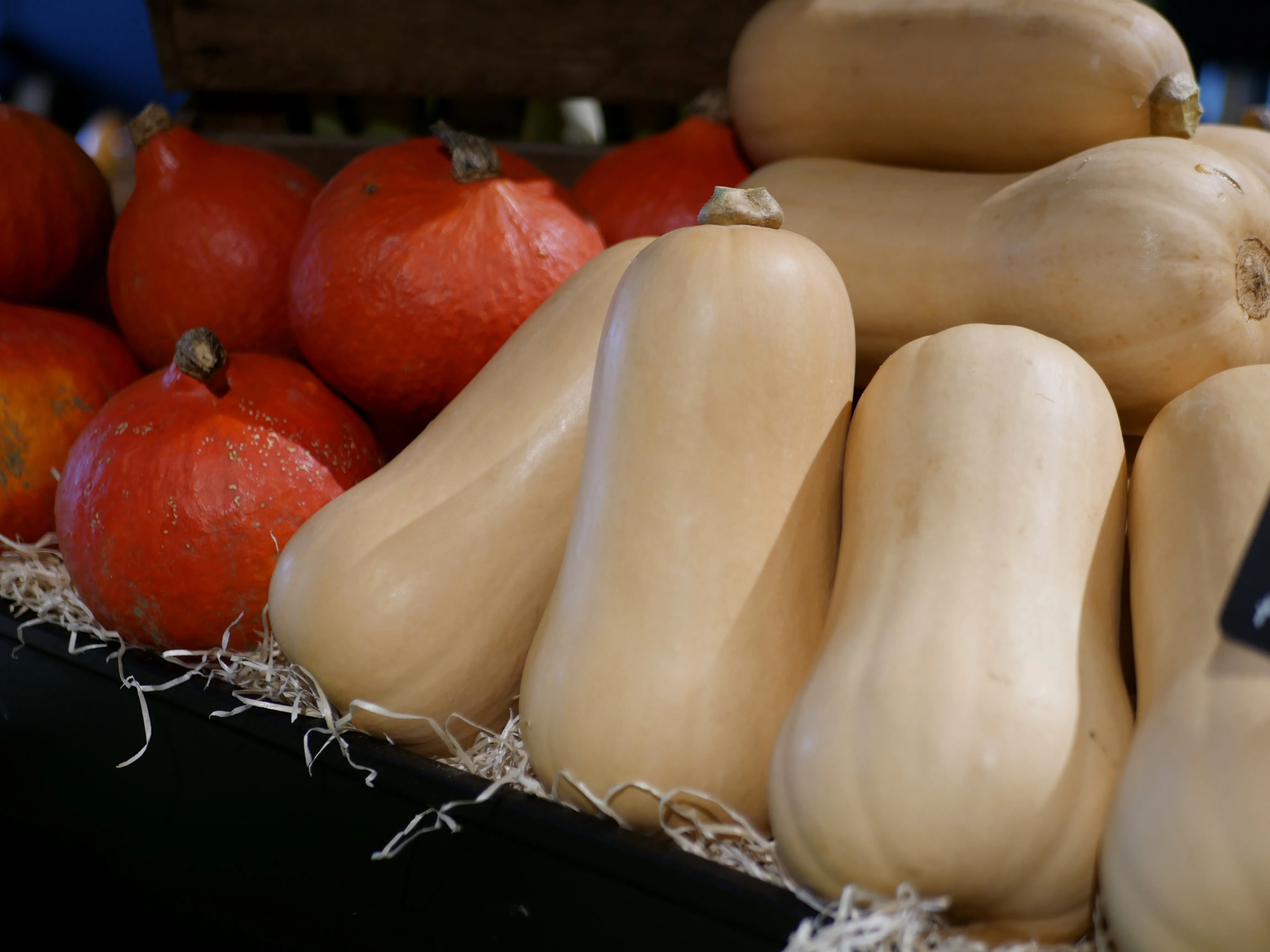 UN NOUVEAU PRIMEUR Ô MARCHÉ