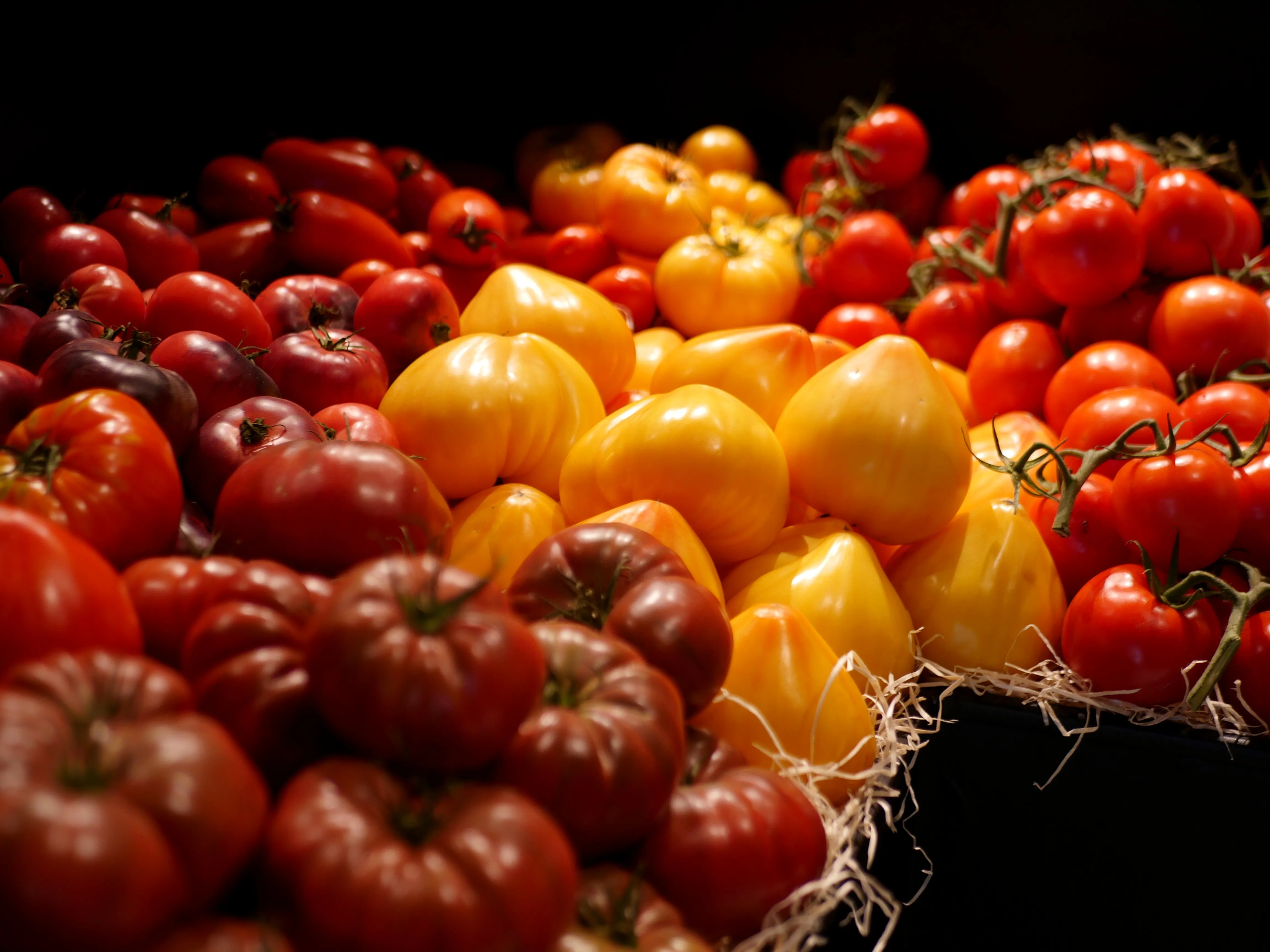 UN NOUVEAU PRIMEUR Ô MARCHÉ