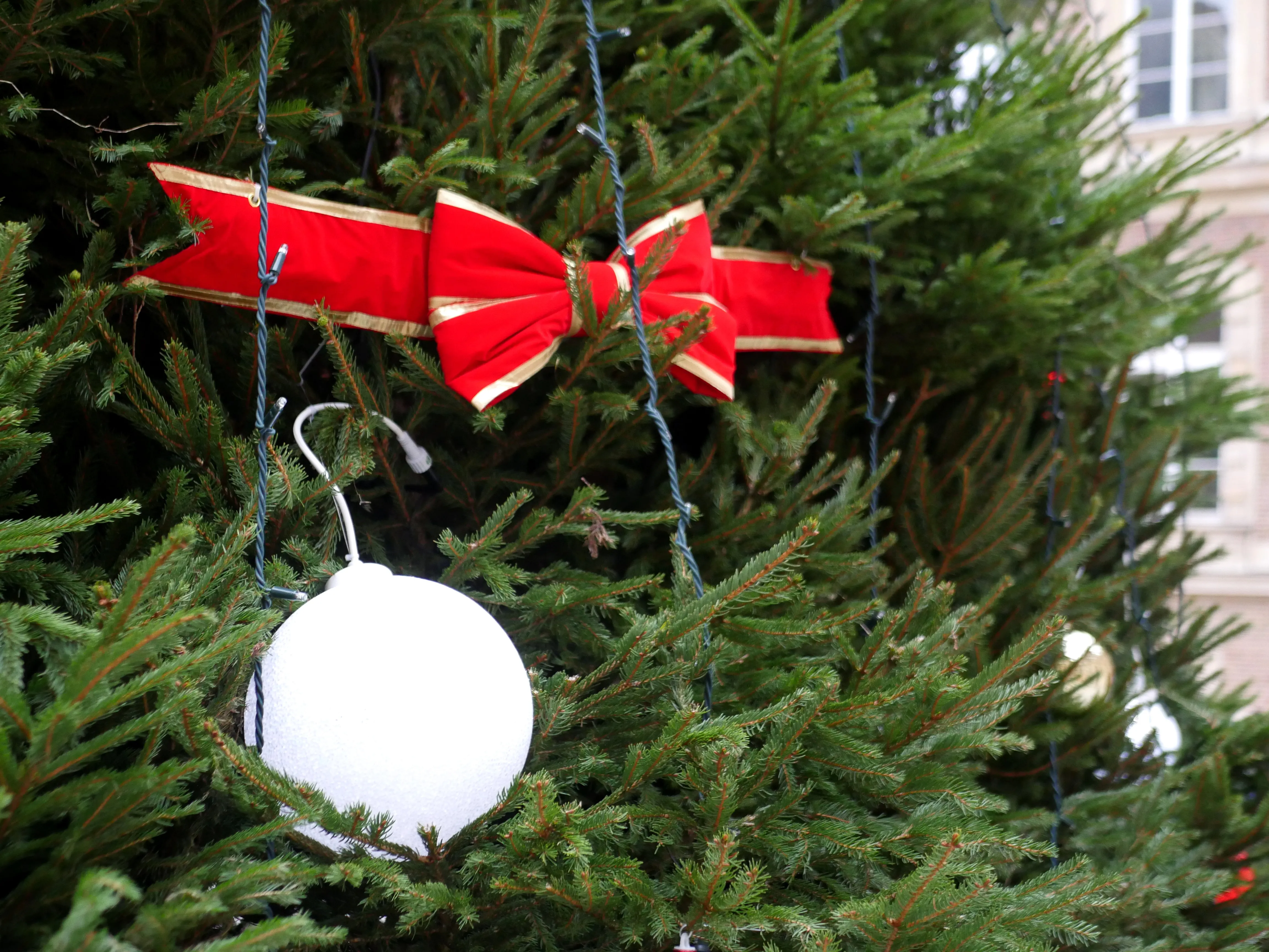 LES MAGICIENS DU GRAND SAPIN