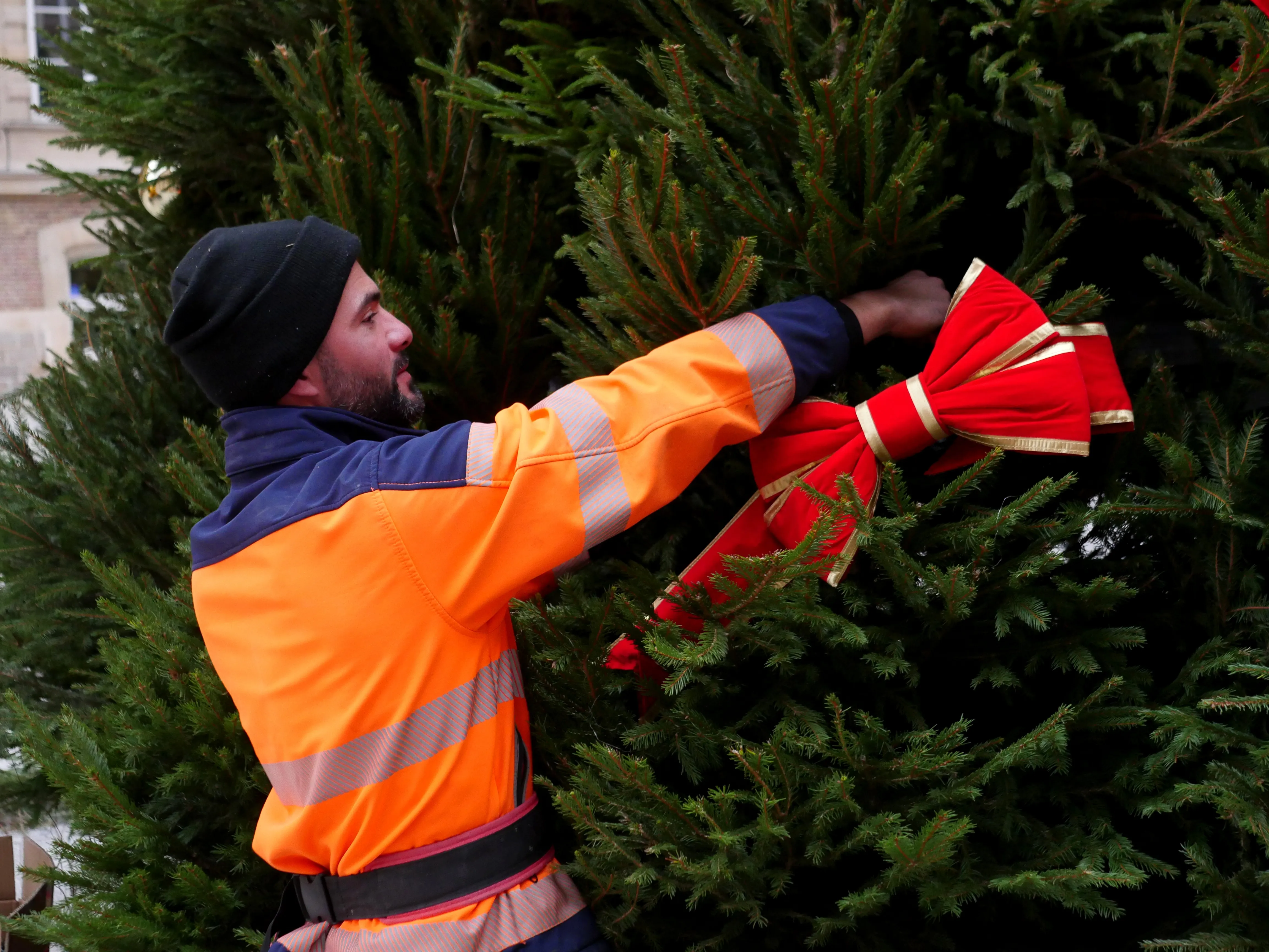 LES MAGICIENS DU GRAND SAPIN