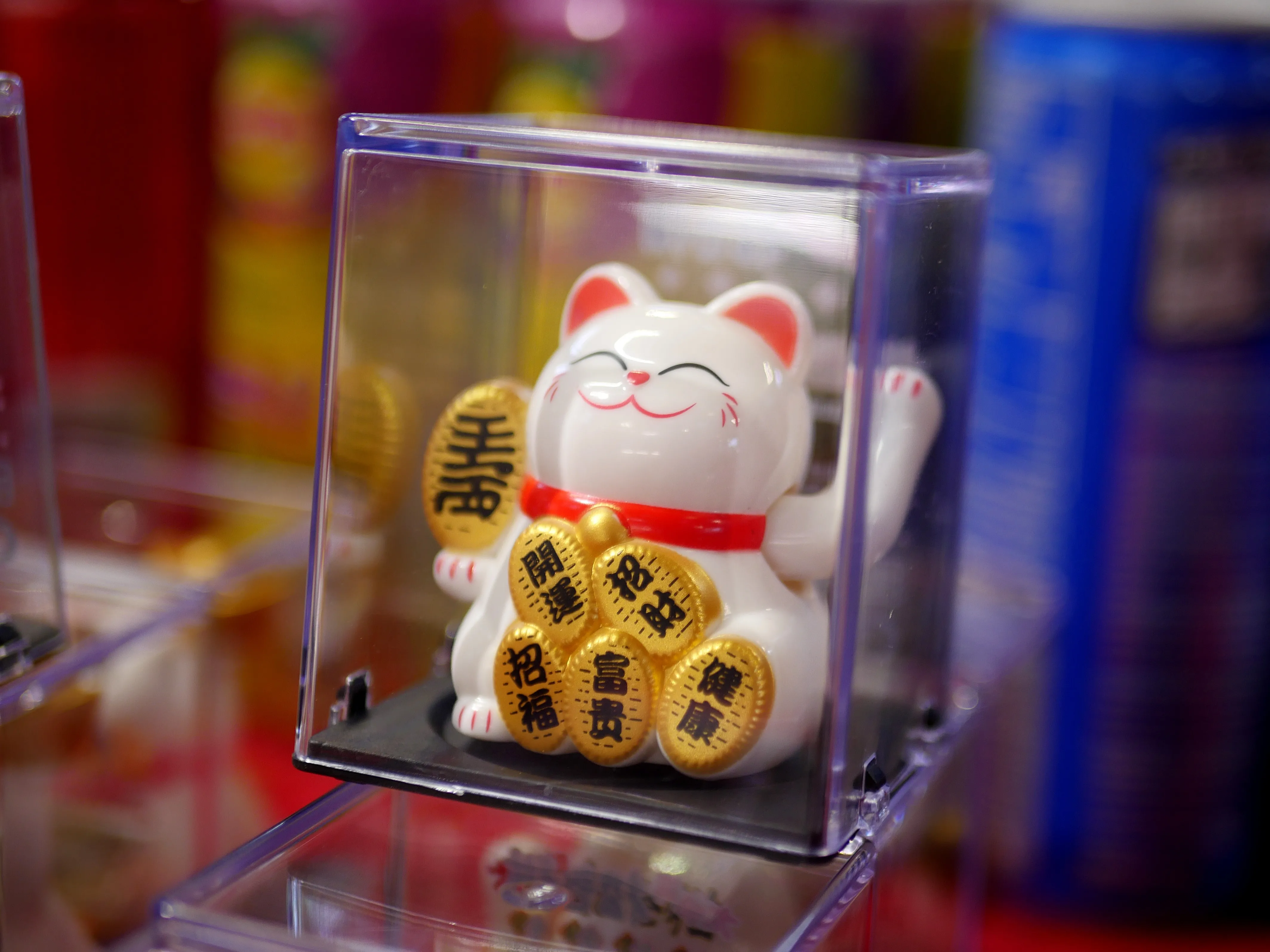 LE GRAND VOYAGE COMMENCE