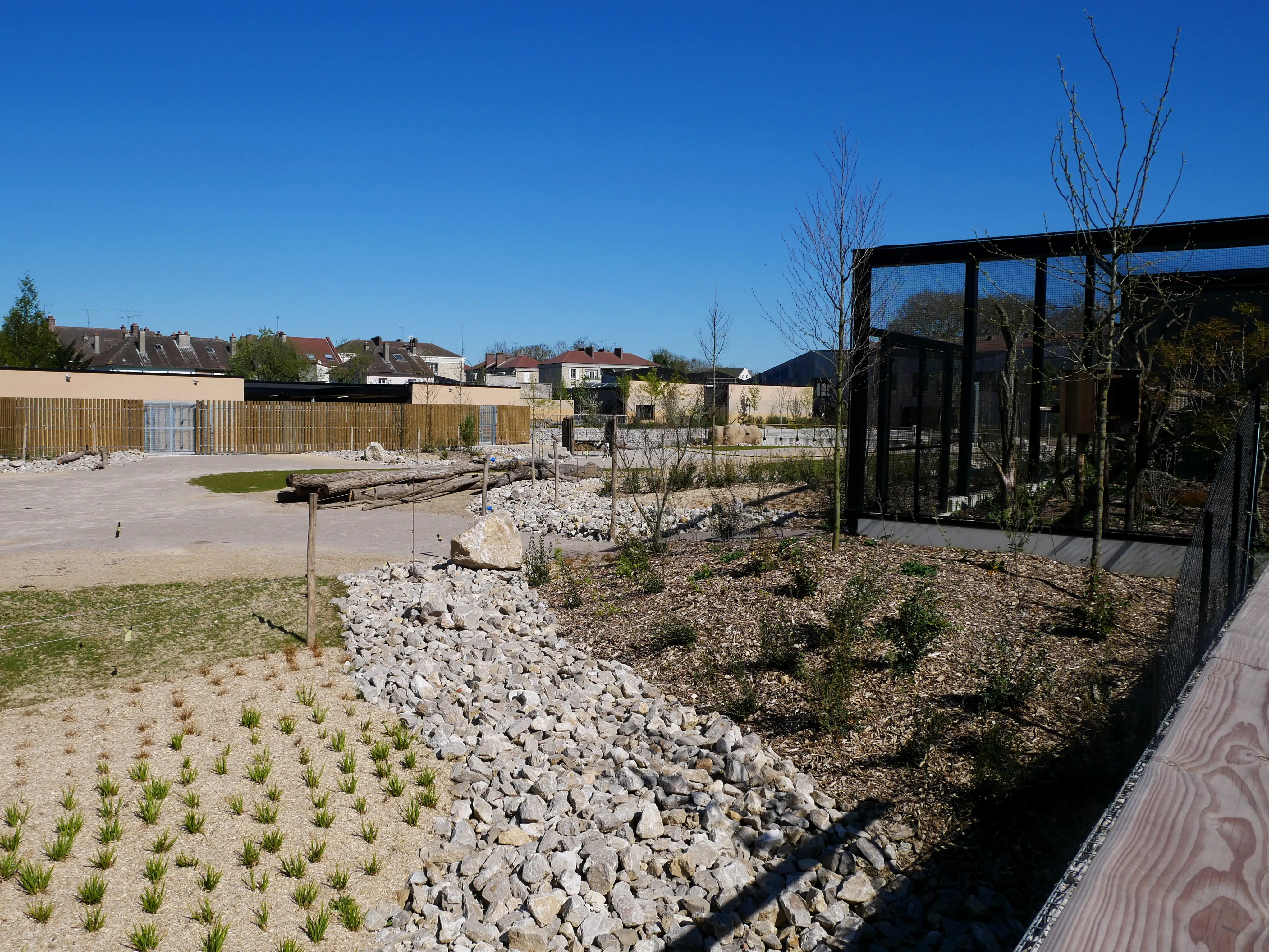 TOUS ENSEMBLE DANS LA SAVANE