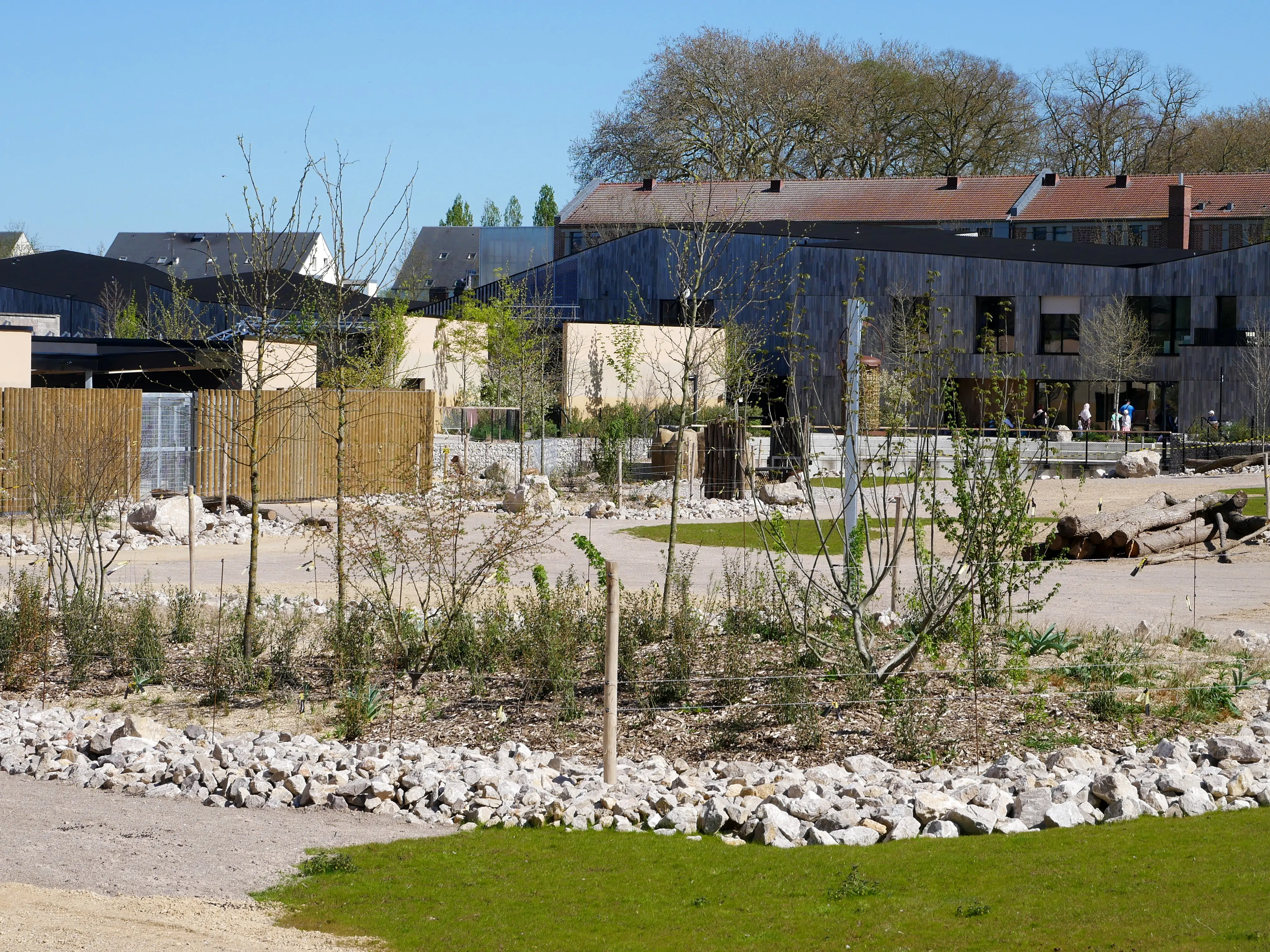 TOUS ENSEMBLE DANS LA SAVANE