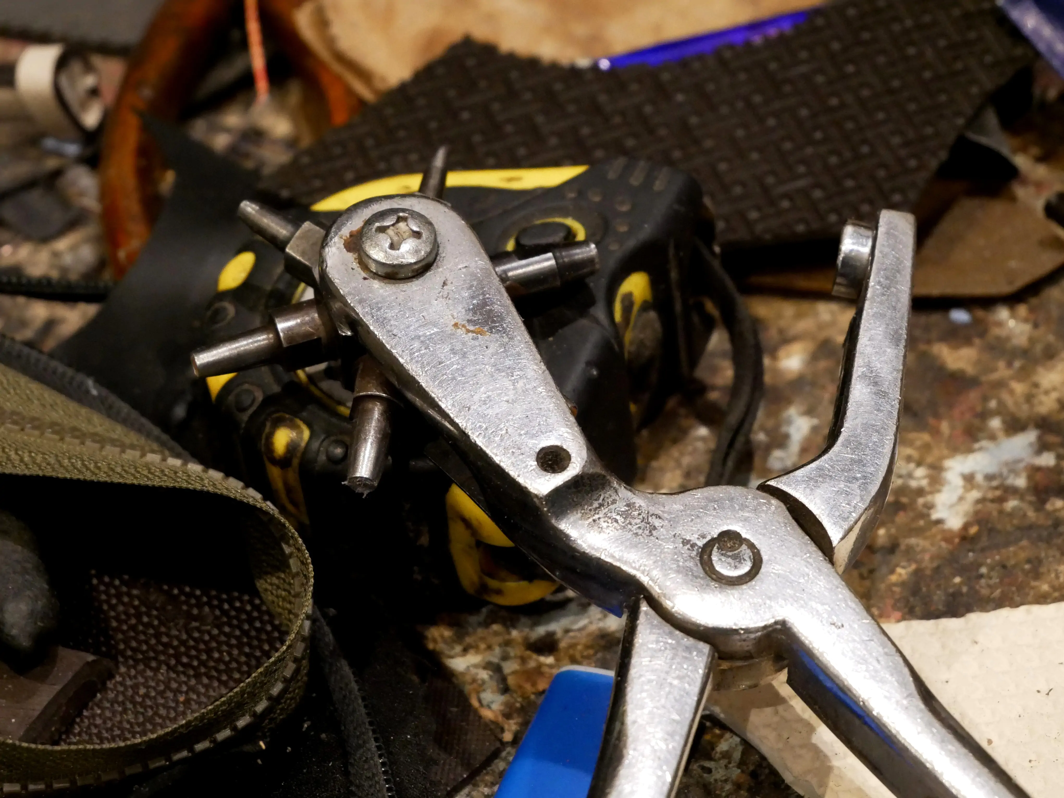 DES NOUVELLES DU CORDONNIER