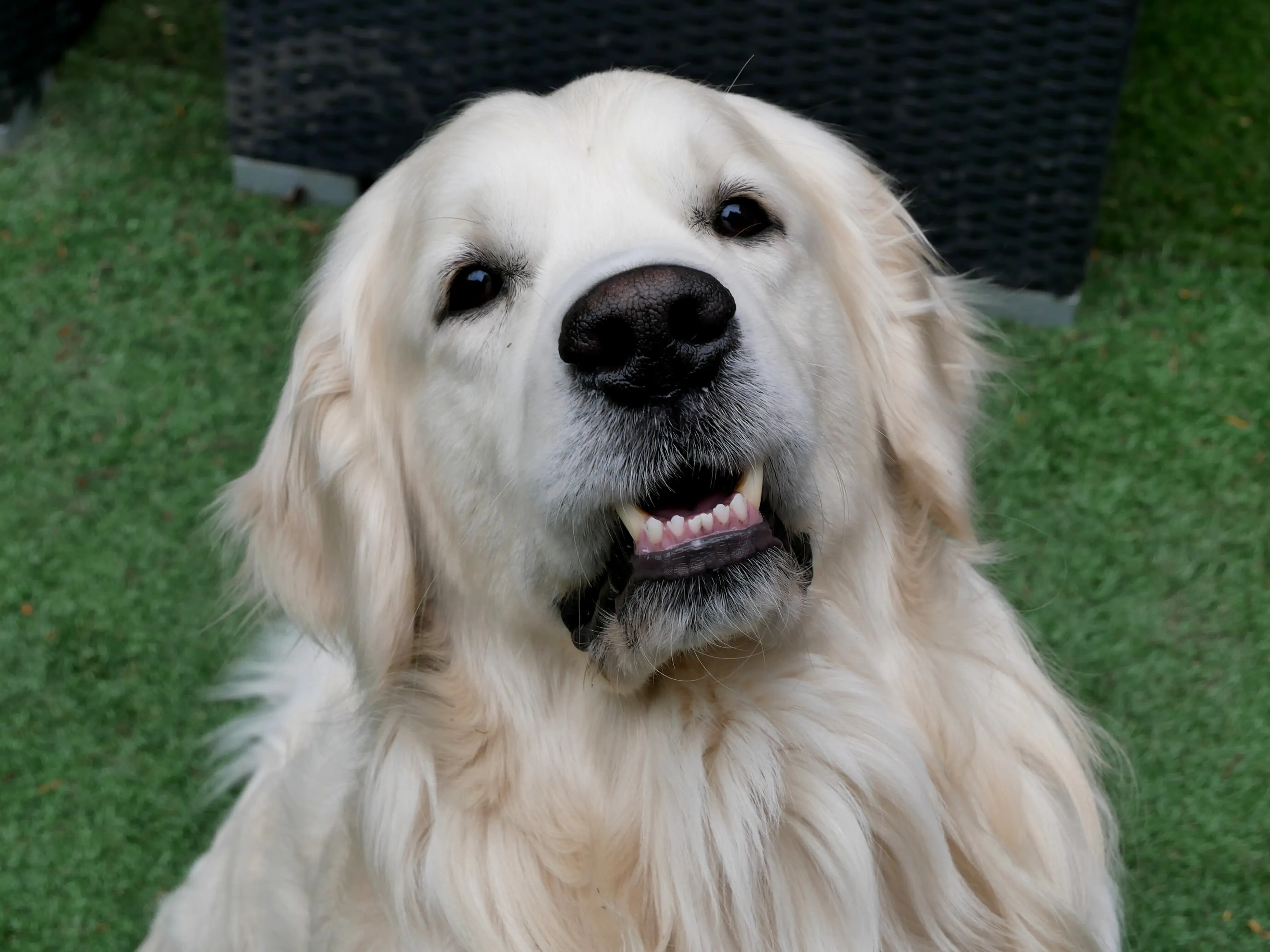 L’ART DE RÉINVENTER LES LIEUX