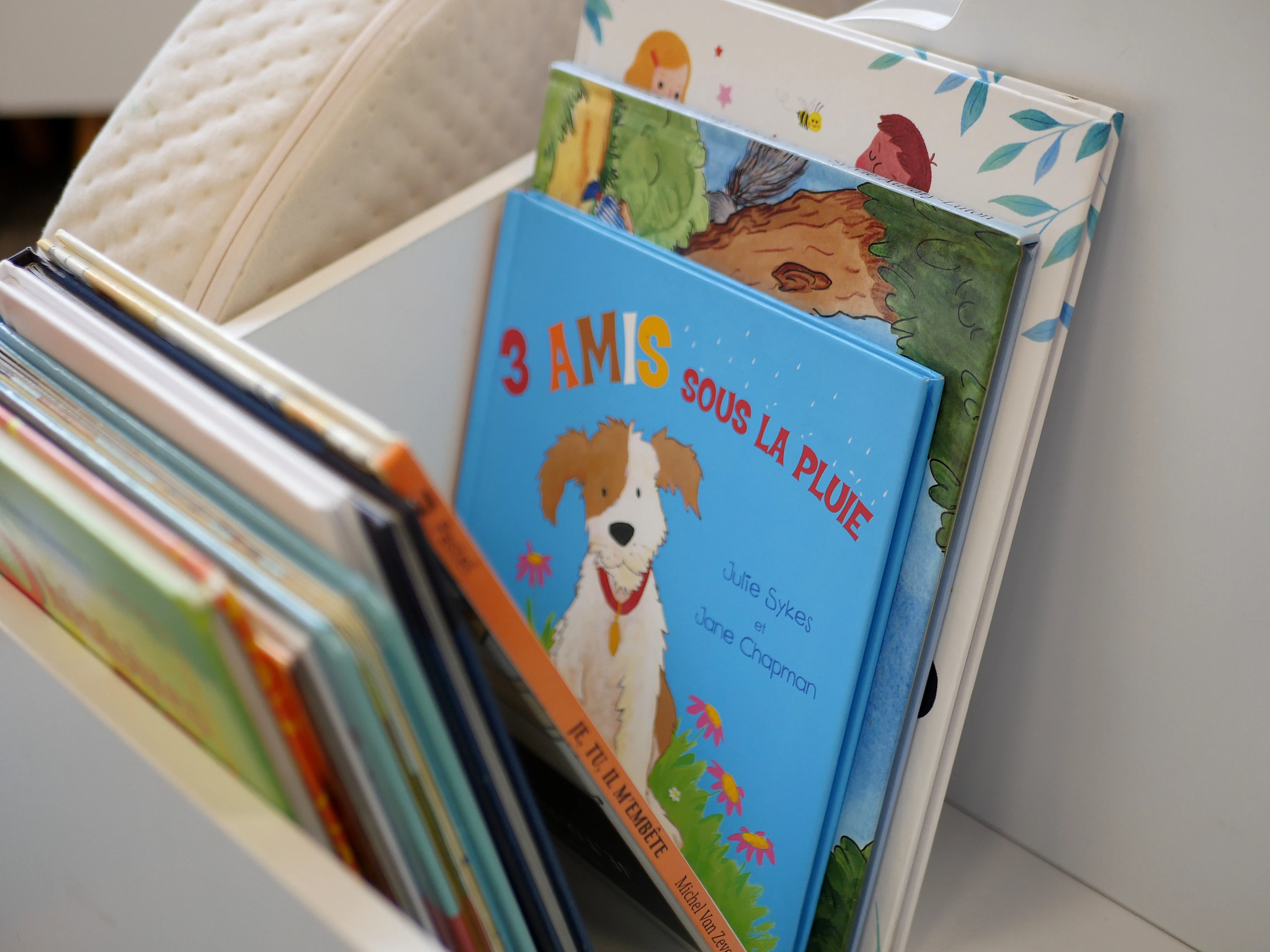 Une librairie solidaire et friperie engagée