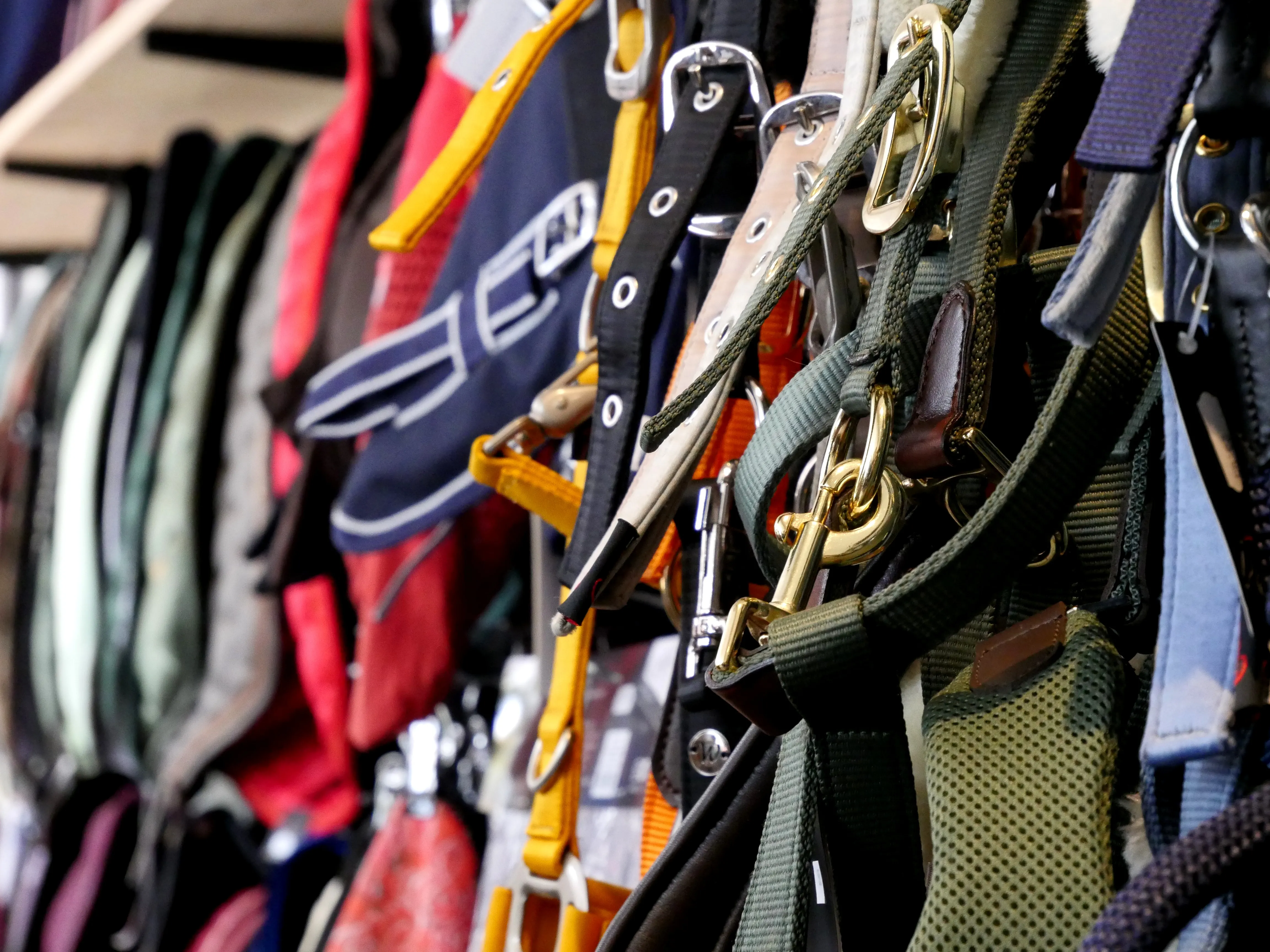 Tout pour le cheval à 15min d'Amiens !