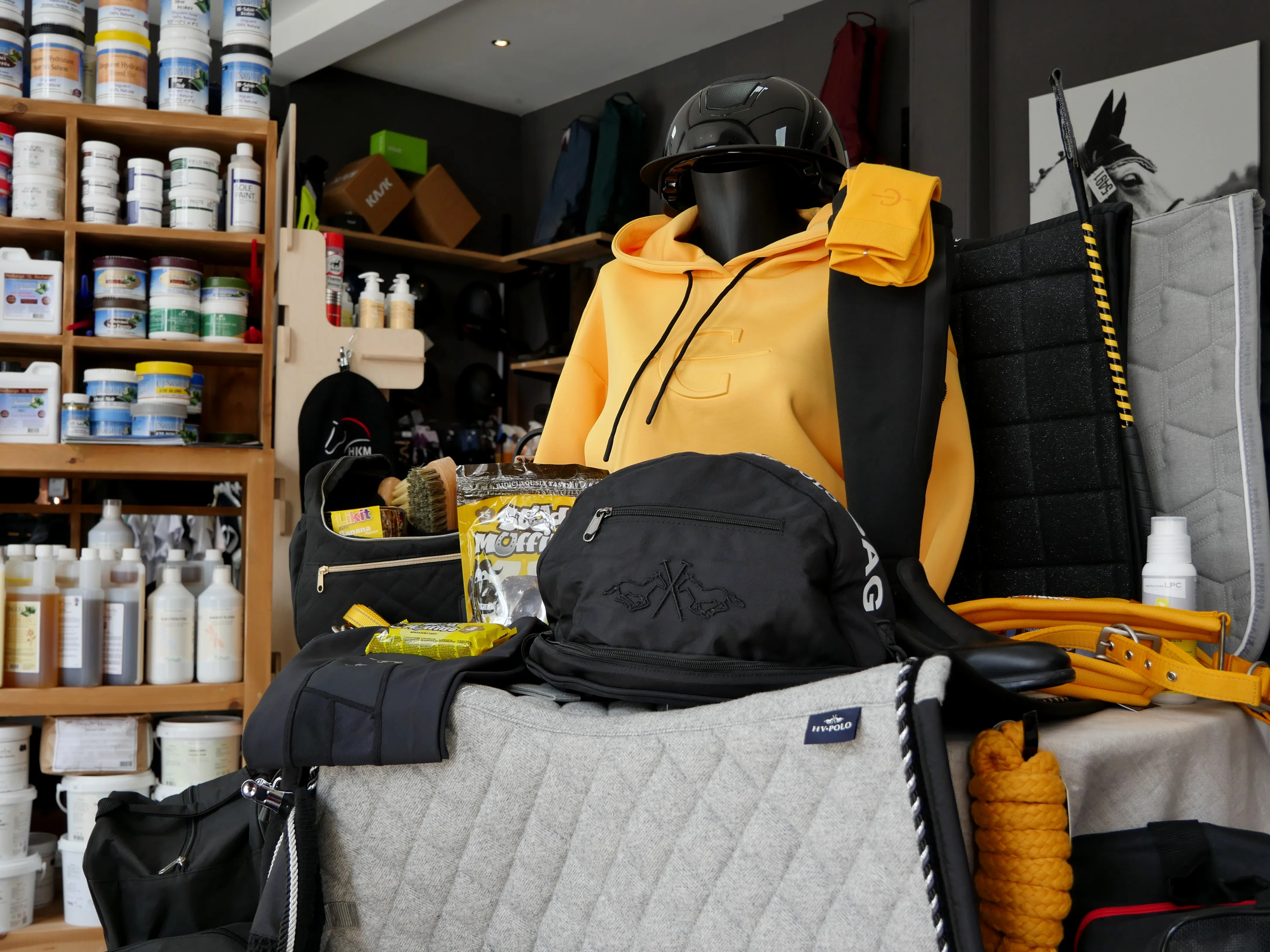 Tout pour le cheval à 15min d'Amiens !