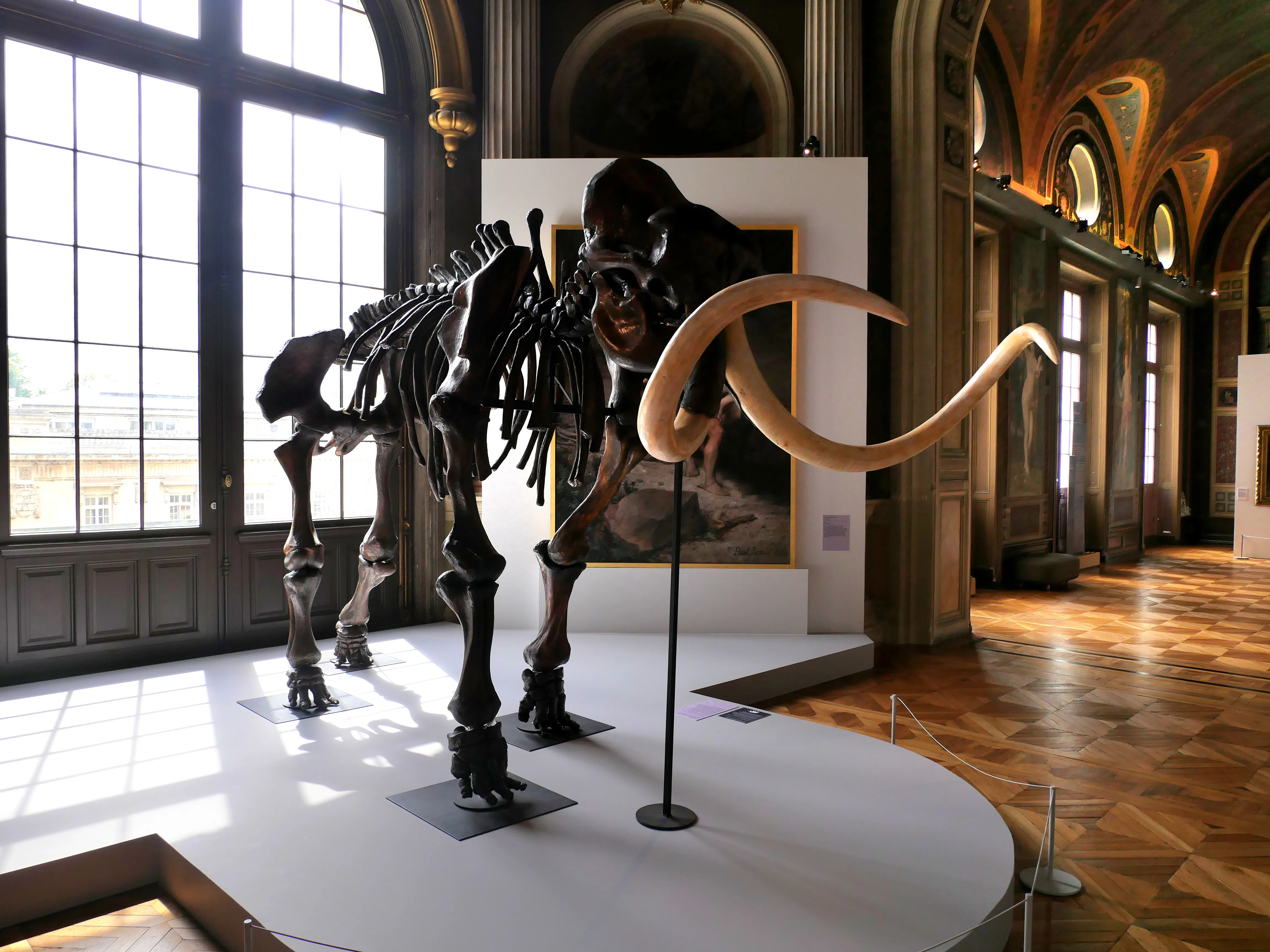 Le plus beau musée de province ? Le plus beau musée de province !