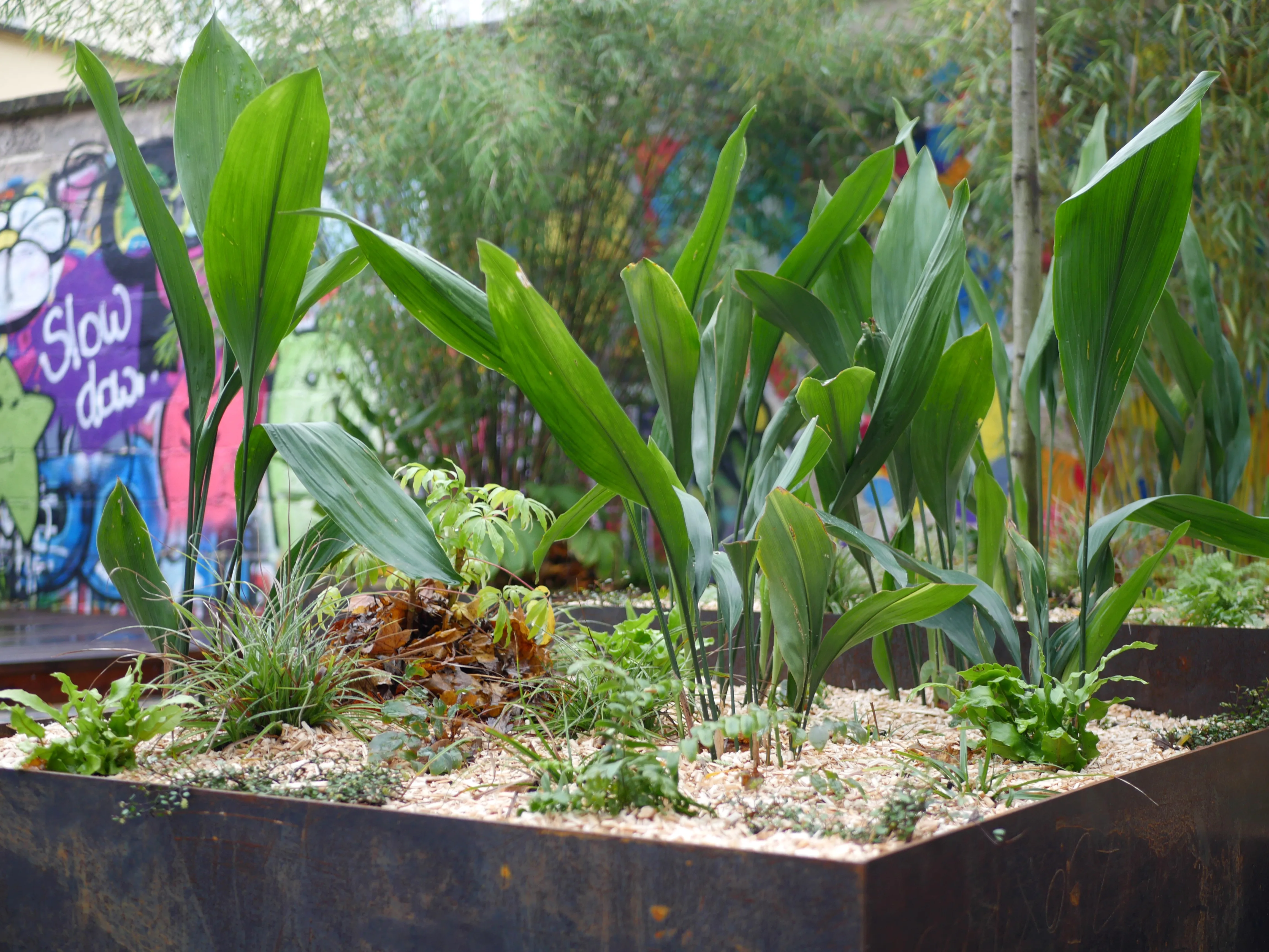 Un rêve de jardins et de paysages