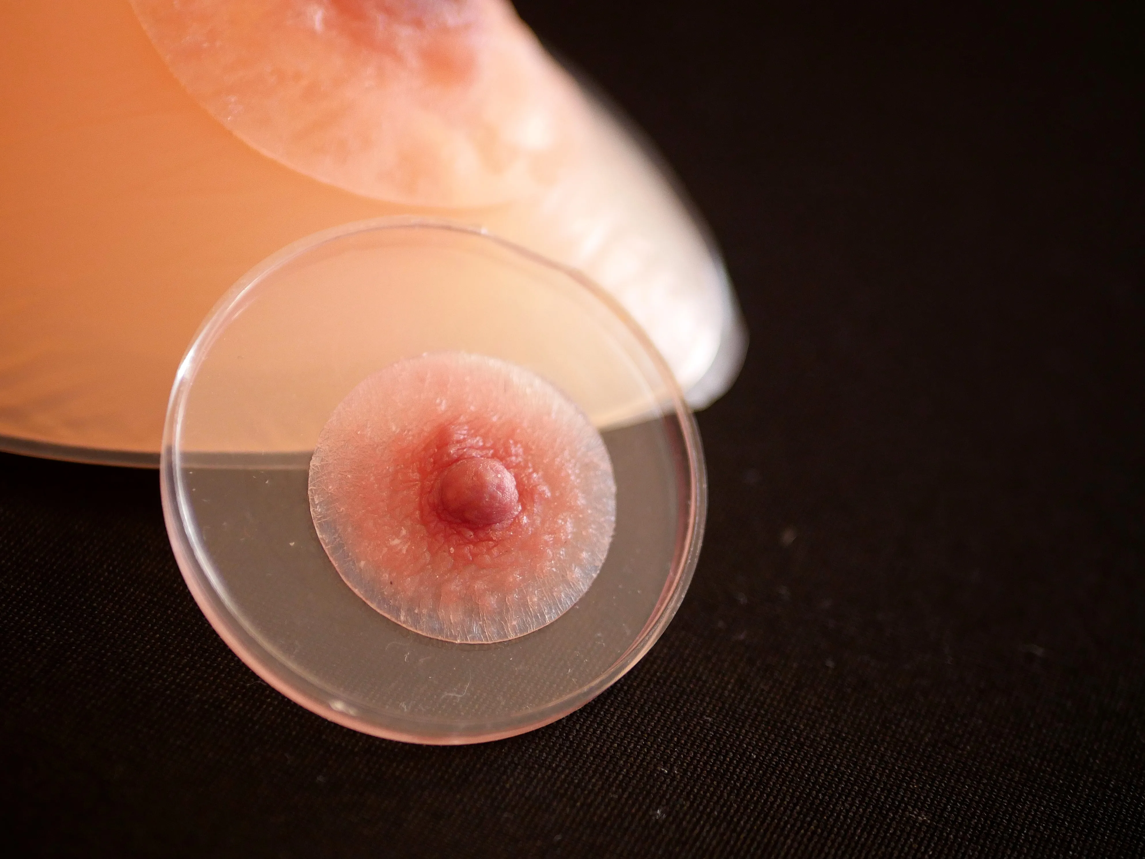 C’EST LE SAINT DES SEINS