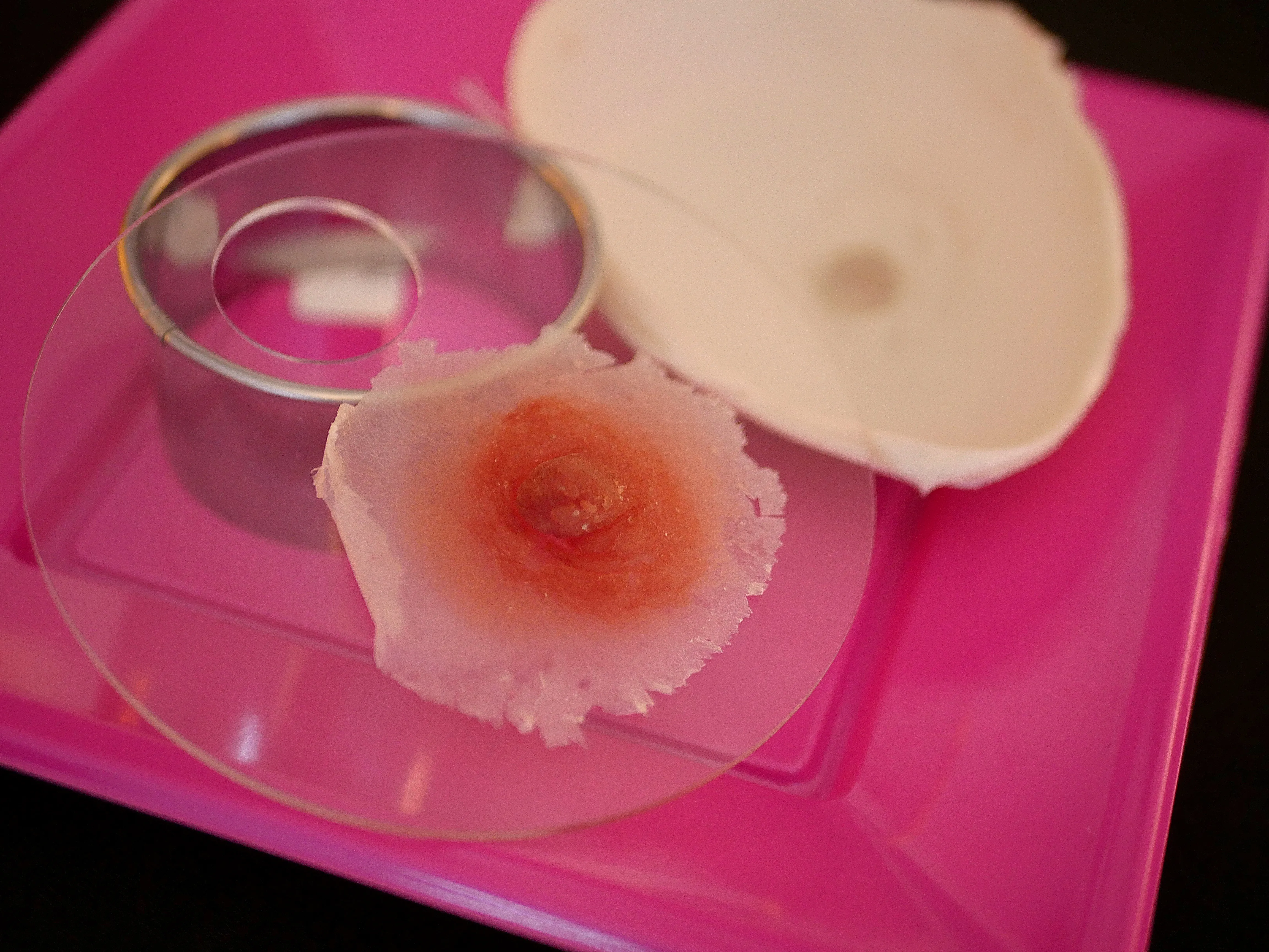 C’EST LE SAINT DES SEINS