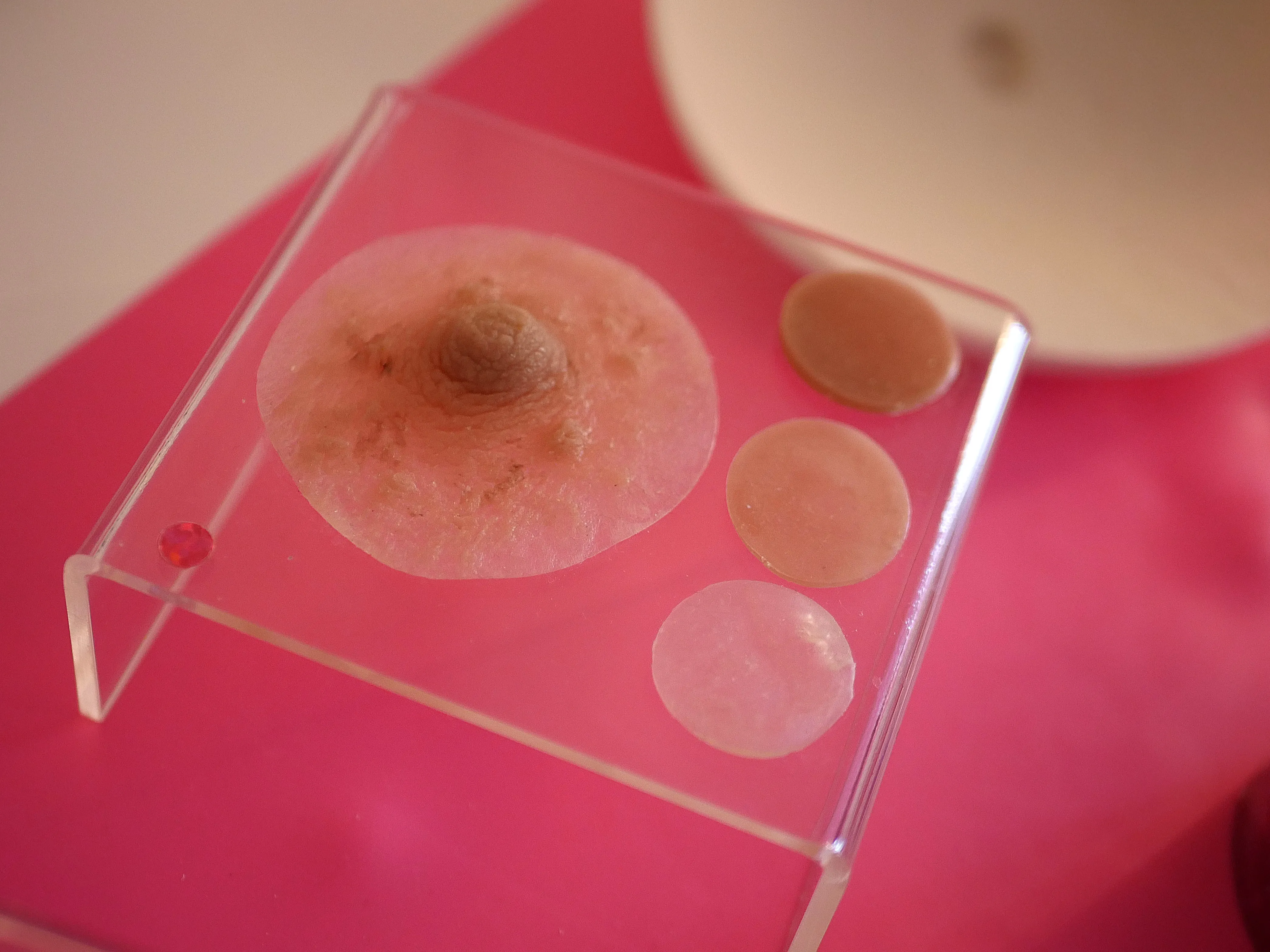 C’EST LE SAINT DES SEINS